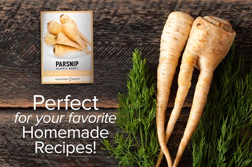 Parsnip Seeds for Planting - Harris Model Heirloom, Non-GMO Vegetable Variety- 1 Gram Approx 200 Seeds Great for Summer, Fall, and Winter Gardens by Gardeners Basics