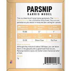 Parsnip Seeds for Planting - Harris Model Heirloom, Non-GMO Vegetable Variety- 1 Gram Approx 200 Seeds Great for Summer, Fall, and Winter Gardens by Gardeners Basics