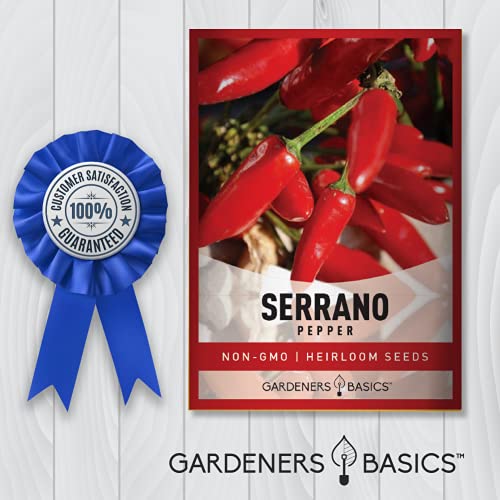 Serrano Pepper Seeds for Planting Heirloom Non-GMO Ancho Peppers Plant Seeds for Home Garden Vegetables Makes a Great Gift for Gardening by Gardeners Basics