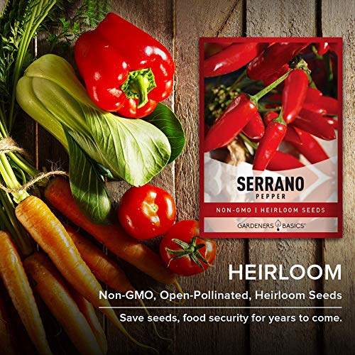 Serrano Pepper Seeds for Planting Heirloom Non-GMO Ancho Peppers Plant Seeds for Home Garden Vegetables Makes a Great Gift for Gardening by Gardeners Basics