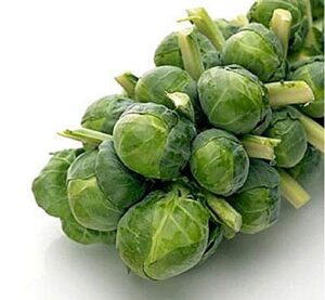 david’s garden seeds brussels sprouts long island improved fba-1443 (green) 50 non-gmo, heirloom seeds