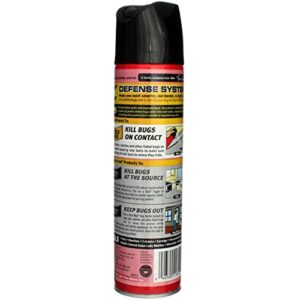 Raid Ant and Roach Kills on Contact No Lingering Chemical Odor Outdoor Fresh Scent 12 Oz. (1 Each)