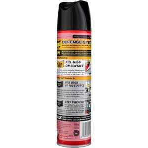 Raid Ant and Roach Kills on Contact No Lingering Chemical Odor Outdoor Fresh Scent 12 Oz. (1 Each)