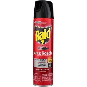 Raid Ant and Roach Kills on Contact No Lingering Chemical Odor Outdoor Fresh Scent 12 Oz. (1 Each)