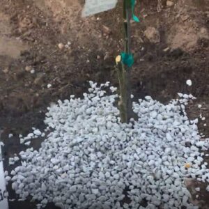 Gantessa Stone Gardening Pumice Soil Amendment | 3/8 Screened | 1.25 Quarts (PS381Q)