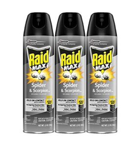 raid max spider & scorpion killer (12 ounce (pack of 3))