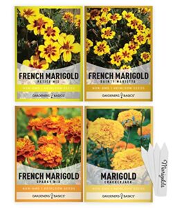 marigold seeds for planting outdoors (4 variety pack) french marigold petite mix, dainty marietta, sparky, and african marigold seeds crackerjack for pollinators wildflower seed by gardeners basics