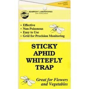 yellow sticky aphid whitefly trap pack of 15