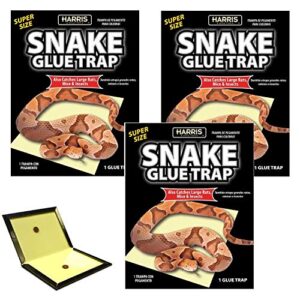 harris supersized snake glue trap – extra strength, non-toxic and multipurpose (3-pack)