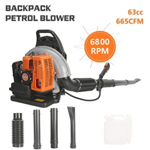 Leaf Blower Gas Powered with Adjustable Backpack Strap, 665 CFM 6800 RPM(r/min) 63cc 2-Stroke Engine Multi-Purpose Cordless High Strength Snow Blower for Outdoor Yard Garden Snowfield & Meadowland