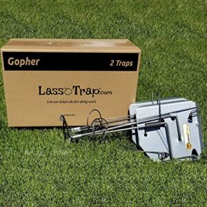 LASSO TRAP Gopher Trap (Pack of 2) Galvanized & Oil-Hardened Steel; Super Cost-Effective, Reusable, & Durable Animal Trap Best in The Lawn, Yard, Garden, Farm, & All Outdoor Settings w/Manual