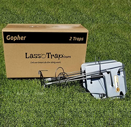 LASSO TRAP Gopher Trap (Pack of 2) Galvanized & Oil-Hardened Steel; Super Cost-Effective, Reusable, & Durable Animal Trap Best in The Lawn, Yard, Garden, Farm, & All Outdoor Settings w/Manual