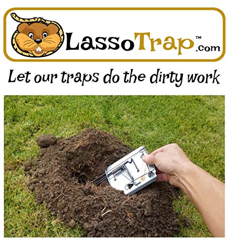 LASSO TRAP Gopher Trap (Pack of 2) Galvanized & Oil-Hardened Steel; Super Cost-Effective, Reusable, & Durable Animal Trap Best in The Lawn, Yard, Garden, Farm, & All Outdoor Settings w/Manual