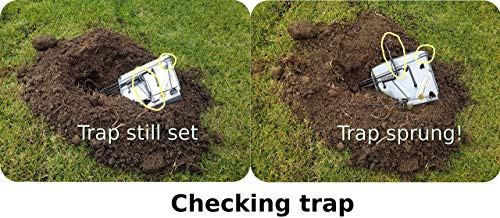 LASSO TRAP Gopher Trap (Pack of 2) Galvanized & Oil-Hardened Steel; Super Cost-Effective, Reusable, & Durable Animal Trap Best in The Lawn, Yard, Garden, Farm, & All Outdoor Settings w/Manual