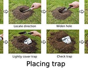 LASSO TRAP Gopher Trap (Pack of 2) Galvanized & Oil-Hardened Steel; Super Cost-Effective, Reusable, & Durable Animal Trap Best in The Lawn, Yard, Garden, Farm, & All Outdoor Settings w/Manual