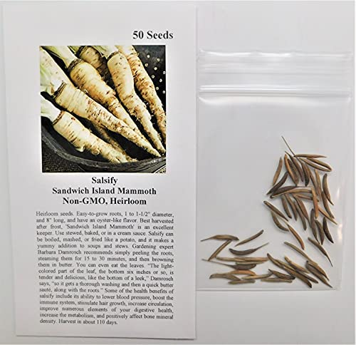 David's Garden Seeds Salsify Sandwich Island Mammoth 6311 (White) 50 Non-GMO, Heirloom Seeds