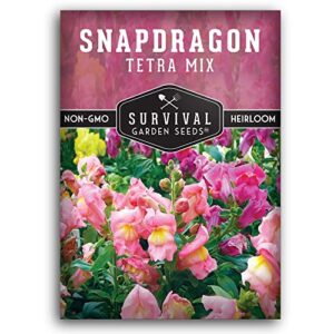 survival garden seeds – snapdragon tetra mix seed for planting – packet with instructions to plant and grow beautiful colorful flowers in your home vegetable garden – non-gmo heirloom variety