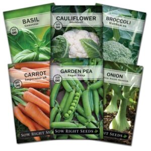 sow right seeds – spring vegetable seeds collection for planting – individual packets basil, broccoli, carrot, onion, cauliflower, and peas, non-gmo heirloom seeds to plant an outdoor home garden