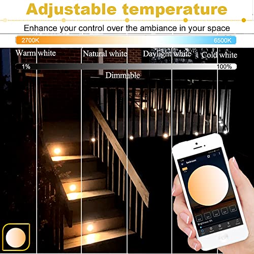 Dimmable LED Deck Lights Kit, 10 Pack Φ1.18 Outdoor Recessed Deck Step Lighting, 2700K-6500K Bluetooth Low Voltage Landscape Light IP67 Waterproof for Garden Patio Rail Ground Pathway