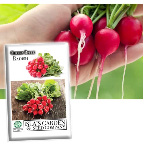 Cherry Belle Radish Seeds for Planting, 100+ Heirloom Seeds Per Packet, (Isla's Garden Seeds), Non GMO Seeds, Botanical Name: Raphanus sativus, Great Home Garden Gift