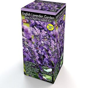 Easy Garden Roll Out Flowers Lavender Gardening kit - 10-Foot by 10-Inch - by Garden Innovations