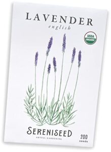 sereniseed certified organic english lavender seeds (200 seeds) – 100% non gmo, open pollinated – grow guide