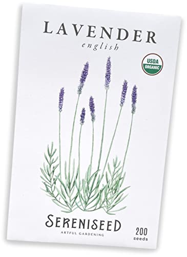 Sereniseed Certified Organic English Lavender Seeds (200 Seeds) – 100% Non GMO, Open Pollinated – Grow Guide