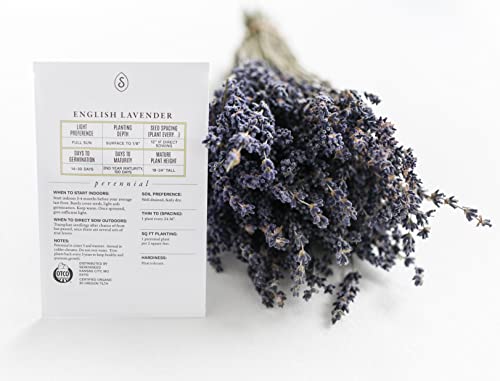 Sereniseed Certified Organic English Lavender Seeds (200 Seeds) – 100% Non GMO, Open Pollinated – Grow Guide