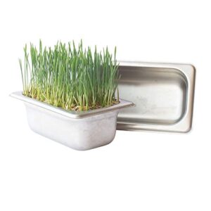 Trellis + Co. Stainless Steel Hydroponic Microgreens Growing Kit - Infinitely Reusable Hydroponic Kit for Microgreen Seeds & Wheatgrass Seeds - Easy Soil-Free Sprouting System for Your Indoor Garden