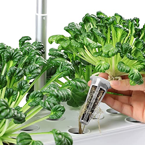 Ahopegarden Indoor Garden Hydroponic Growing System with 60pcs Grow Sponges