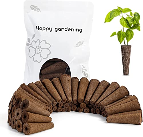 Ahopegarden Indoor Garden Hydroponic Growing System with 60pcs Grow Sponges