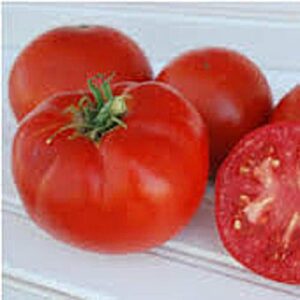 super sioux tomato seeds (20+ seeds) | non gmo | vegetable fruit herb flower seeds for planting | home garden greenhouse pack