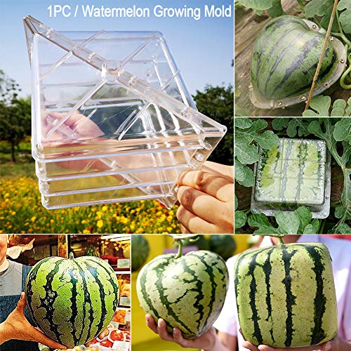 JIANWEI Watermelon Growing Mold, Heart Square Transparent Forming Growing Shaping Mold Garden Fruit Mould Tool Home Reusable Growing Mold(Square)