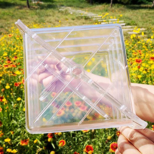 JIANWEI Watermelon Growing Mold, Heart Square Transparent Forming Growing Shaping Mold Garden Fruit Mould Tool Home Reusable Growing Mold(Square)