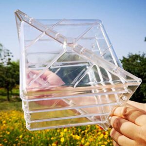 JIANWEI Watermelon Growing Mold, Heart Square Transparent Forming Growing Shaping Mold Garden Fruit Mould Tool Home Reusable Growing Mold(Square)