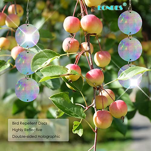 Holographic Reflective Bird Scare Discs for Woodpeckers and Pigeons, Bird Reflectors Scarer, Keep Birds Away, 24 Round Disks