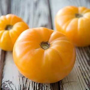 Amana Orange Beefsteak Heirloom Tomato Seeds for Planting, 50+ Heirloom Seeds Per Packet, Non GMO Seeds, (Isla's Garden Seeds), Botanical Name: Lycopersicon esculentum, Great Home Garden Gift