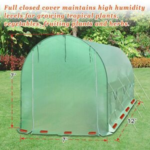 Strong Camel Portable Greenhouse Large Walk in Green Garden Hot House Outdoor Plant Tunnel Tent (12' X 7' X 7' (2))