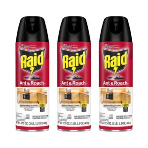 raid ant and roach killer fragrance free, 17.5 oz (pack – 3)