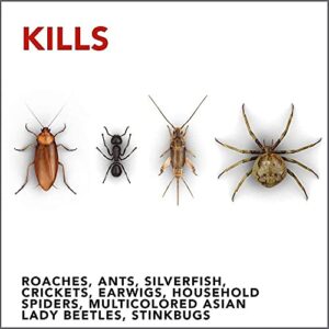 Raid Ant and Roach Killer Fragrance Free, 17.5 OZ (Pack - 3)
