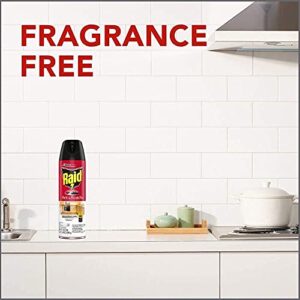 Raid Ant and Roach Killer Fragrance Free, 17.5 OZ (Pack - 3)