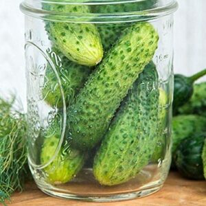Miss Pickler F1 Cucumber Seeds - Excellent Choice for Home Gardens. Delicious(100 - Seeds)