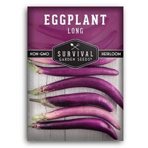 survival garden seeds – long purple eggplant seed for planting – packet with instructions to plant and grow skinny italian aubergine plants in your home vegetable garden – non-gmo heirloom variety