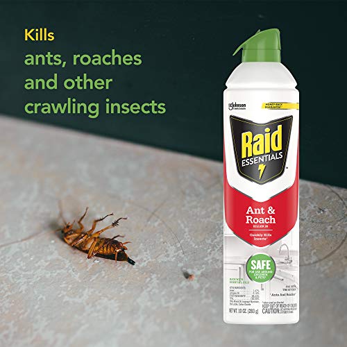 Raid Essentials Ant & Roach Killer Aerosol Spray, Child & Pet Safe, Kills Insects Quickly, for Indoor Use, 10 oz