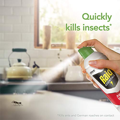 Raid Essentials Ant & Roach Killer Aerosol Spray, Child & Pet Safe, Kills Insects Quickly, for Indoor Use, 10 oz