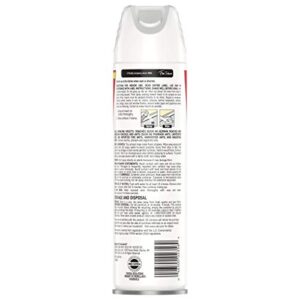 Raid Essentials Ant & Roach Killer Aerosol Spray, Child & Pet Safe, Kills Insects Quickly, for Indoor Use, 10 oz