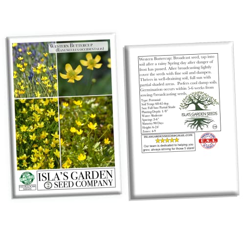 Western Buttercup Long Blooming Field Flower Seeds, 1000+ Seeds Per Packet, (Isla's Garden Seeds), Non GMO & Heirloom, Scientific Name: Ranunculus occidentalis, Great Home Garden Gift