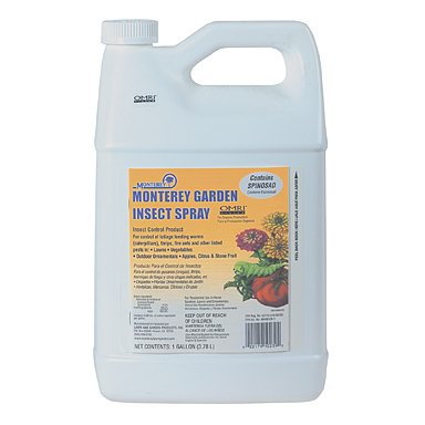 Monterery Garden Insect Spray Spinosad 1 Gallon