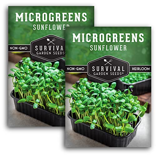 Survival Garden Seeds Sunflower Microgreens for Sprouting and Growing - 2 Packs - Sprout Green Leafy Micro Vegetable Plants Indoors - Grow A Mini Windowsill Garden - Non-GMO Heirloom Variety