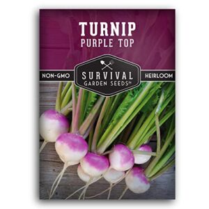 survival garden seeds – purple top turnip seed for planting – packet with instructions to plant and grow delicious greens & root vegetables in your home vegetable garden – non-gmo heirloom variety